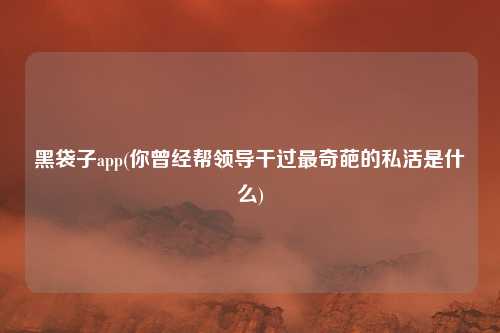 黑袋子app(你曾经帮领导干过最奇葩的私活是什么)