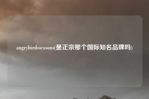 angrybirdsseasons(是正宗那个国际知名品牌吗)
