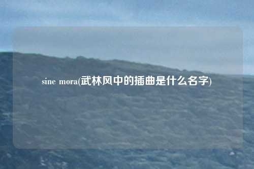 sine mora(武林风中的插曲是什么名字)