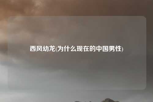 西风幼龙(为什么现在的中国男性)
