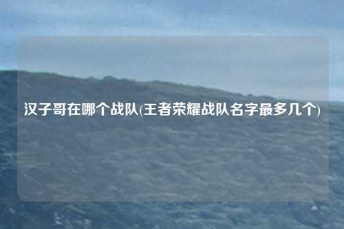 汉子哥在哪个战队(王者荣耀战队名字最多几个)