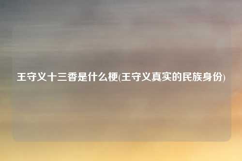 王守义十三香是什么梗(王守义真实的民族身份)