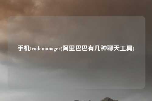 手机trademanager(阿里巴巴有几种聊天工具)