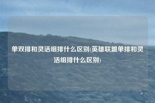 单双排和灵活组排什么区别(英雄联盟单排和灵活组排什么区别)