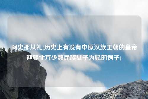 阿史那从礼(历史上有没有中原汉族王朝的皇帝迎娶北方少数民族女子为妃的例子)