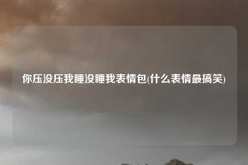 你压没压我睡没睡我表情包(什么表情最搞笑)