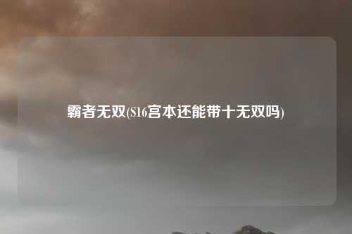 霸者无双(S16宫本还能带十无双吗)