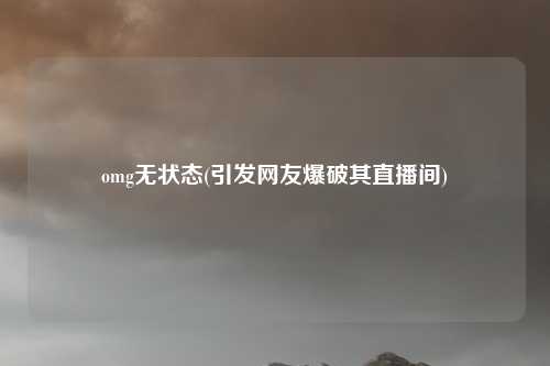 omg无状态(引发网友爆破其直播间)