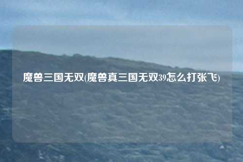 魔兽三国无双(魔兽真三国无双39怎么打张飞)