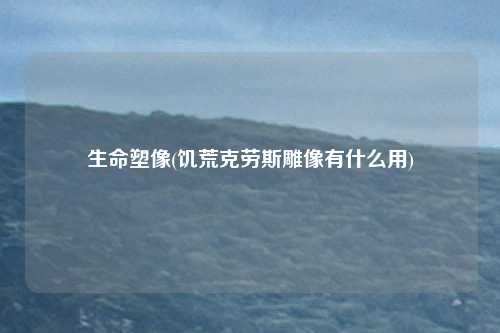 生命塑像(饥荒克劳斯雕像有什么用)