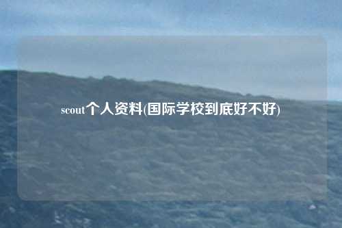 scout个人资料(国际学校到底好不好)