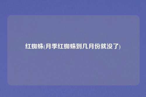 红蜘蛛(月季红蜘蛛到几月份就没了)