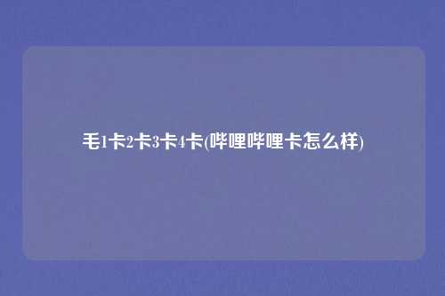毛1卡2卡3卡4卡(哔哩哔哩卡怎么样)