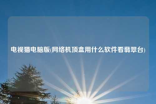 电视猫电脑版(网络机顶盒用什么软件看翡翠台)