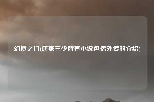 幻境之门(唐家三少所有小说包括外传的介绍)