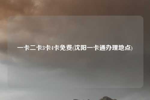 一卡二卡3卡4卡免费(沈阳一卡通办理地点)