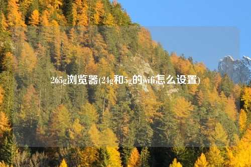265g浏览器(24g和5g的wifi怎么设置)