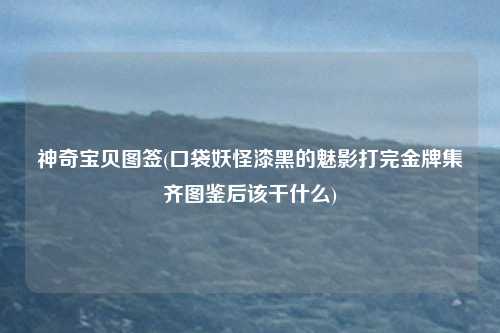 神奇宝贝图签(口袋妖怪漆黑的魅影打完金牌集齐图鉴后该干什么)