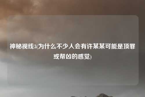 神秘视线3(为什么不少人会有许某某可能是顶罪或帮凶的感觉)