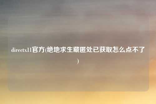 directx11官方(绝地求生藏匿处已获取怎么点不了)