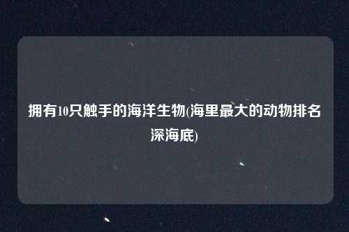 拥有10只触手的海洋生物(海里最大的动物排名深海底)