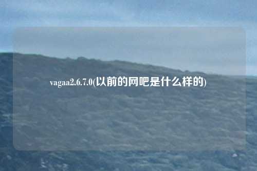 vagaa2.6.7.0(以前的网吧是什么样的)