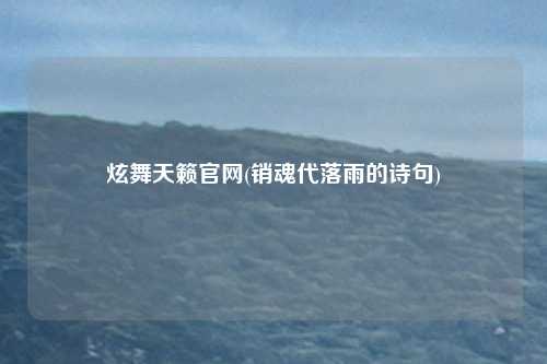 炫舞天籁官网(销魂代落雨的诗句)