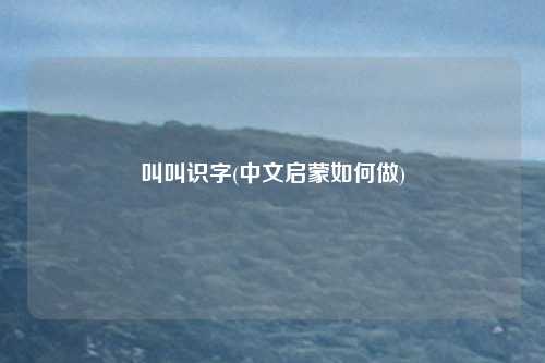 叫叫识字(中文启蒙如何做)