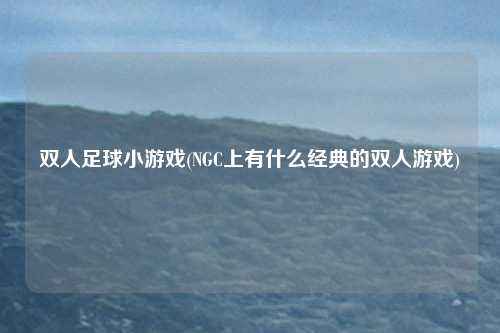 双人足球小游戏(NGC上有什么经典的双人游戏)