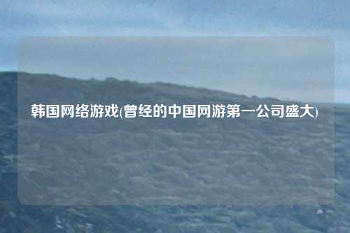 韩国网络游戏(曾经的中国网游第一公司盛大)