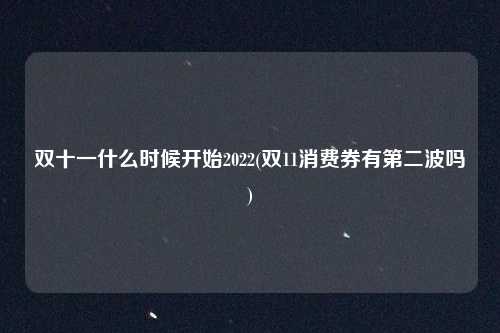 双十一什么时候开始2022(双11消费券有第二波吗)