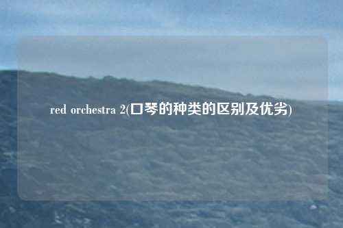 red orchestra 2(口琴的种类的区别及优劣)