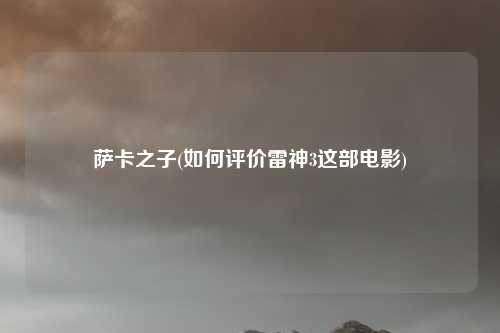 萨卡之子(如何评价雷神3这部电影)