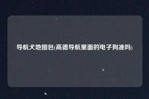 导航犬地图包(高德导航里面的电子狗准吗)