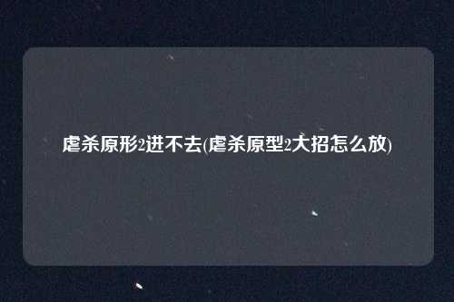 虐杀原形2进不去(虐杀原型2大招怎么放)