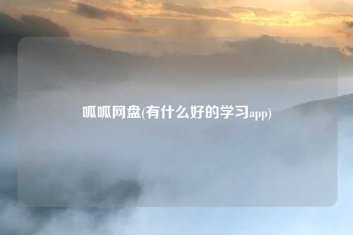 呱呱网盘(有什么好的学习app)