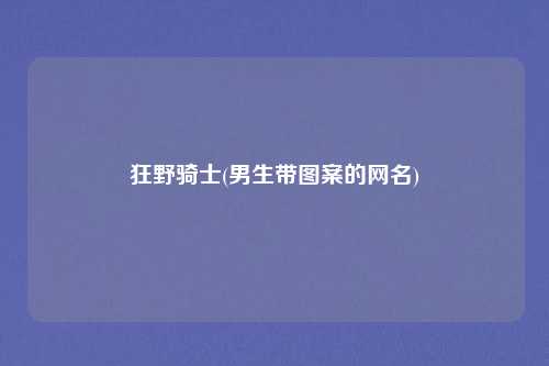 狂野骑士(男生带图案的网名)