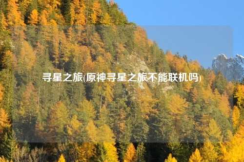 寻星之旅(原神寻星之旅不能联机吗)