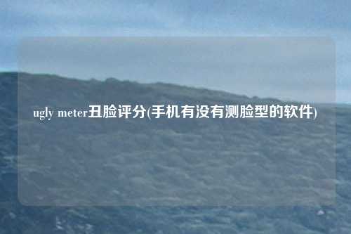 ugly meter丑脸评分(手机有没有测脸型的软件)