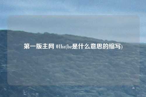 第一版主网 01bz(bz是什么意思的缩写)