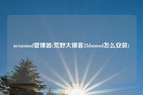 nexusmod管理器(荒野大镖客23dmmod怎么安装)