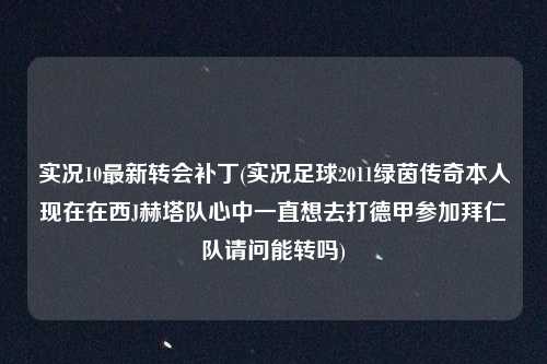 实况10最新转会补丁(实况足球2011绿茵传奇本人现在在西J赫塔队心中一直想去打德甲参加拜仁队请问能转吗)