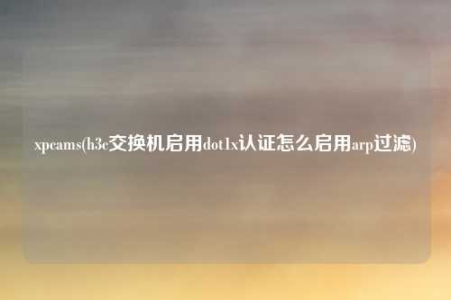 xpcams(h3c交换机启用dot1x认证怎么启用arp过滤)