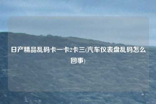 日产精品乱码卡一卡2卡三(汽车仪表盘乱码怎么回事)