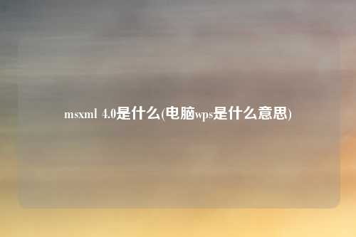 msxml 4.0是什么(电脑wps是什么意思)