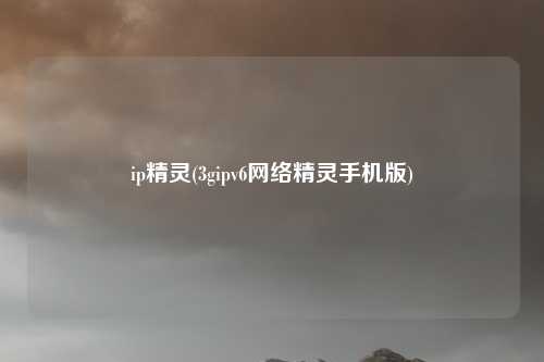 ip精灵(3gipv6网络精灵手机版)