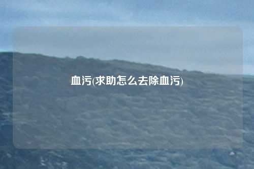 血污(求助怎么去除血污)