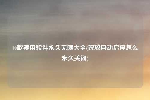 10款禁用软件永久无限大全(锐放自动启停怎么永久关闭)