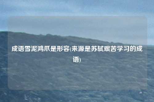 成语雪泥鸿爪是形容(来源是苏轼艰苦学习的成语)