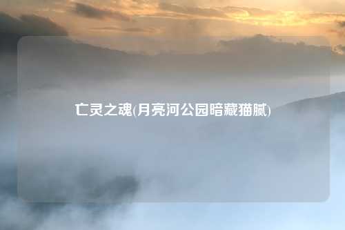 亡灵之魂(月亮河公园暗藏猫腻)